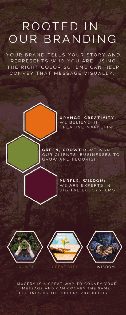 color branding