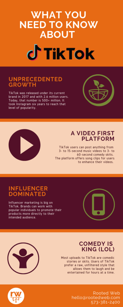 TikTok infographic